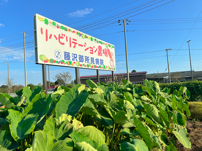 この看板が目印